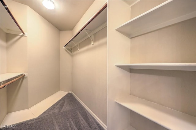 801 Dana Hills Ct Unit 101, Las Vegas, NV 89134 - spacious closet with carpet flooring