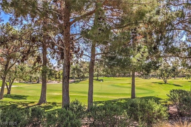 801 Dana Hills Ct Unit 101, Las Vegas, NV 89134 - view of community featuring a lawn, view of wooded area, and an area to practice putting
