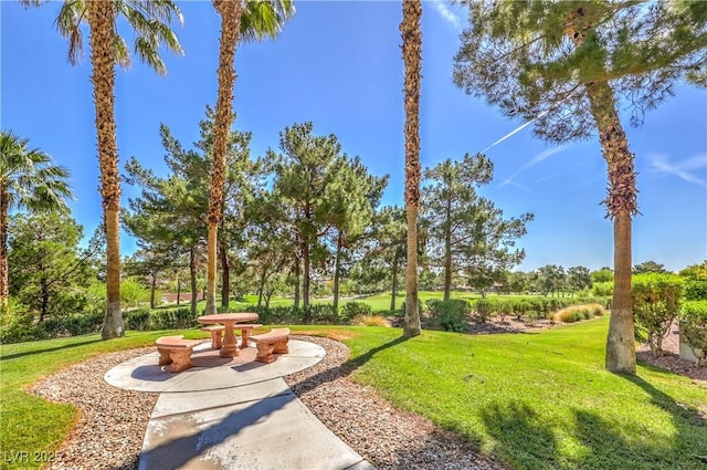 801 Dana Hills Ct Unit 101, Las Vegas, NV 89134 - view of grassy yard