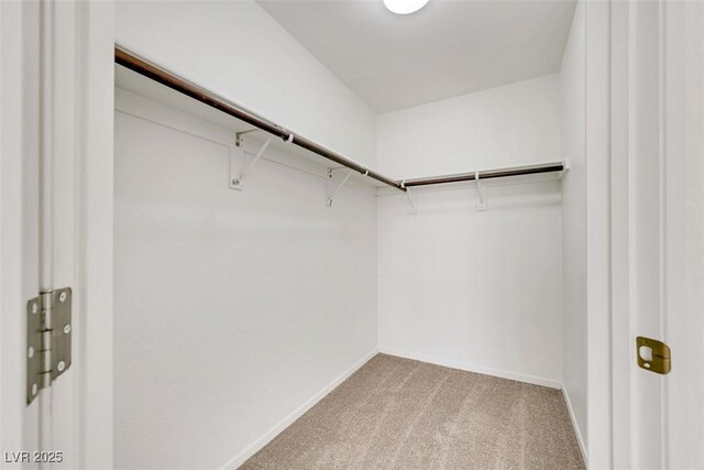 1881 W Alexander Rd Unit 2093, North Las Vegas, NV 89032 - walk in closet with light colored carpet
