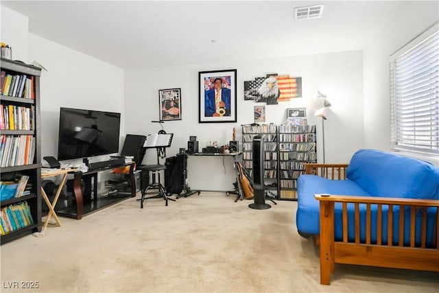 10013 Sable Point St, Las Vegas, NV 89178 - sitting room with carpet floors