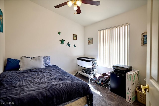 7849 March Brown Ave, Las Vegas, NV 89149 - photo 13