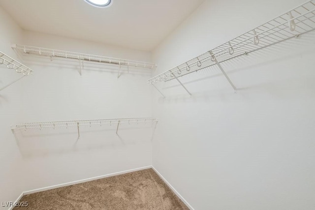 4118 Beech Family St, Las Vegas, NV 89115 - walk in closet featuring light colored carpet