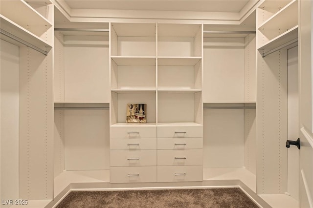 5804 Gossamer Stone Ct, Las Vegas, NV 89141 - view of spacious closet