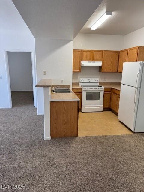 2019 Rancho Lake Dr Unit 102, Las Vegas, NV 89108 - kitchen featuring white appliances, under cabinet range hood, brown cabinets, a peninsula, and light carpet