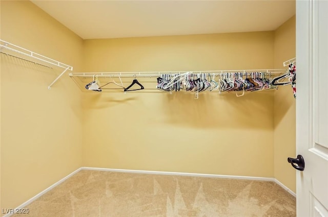 3168 Via Festiva, Henderson, NV 89044 - spacious closet with carpet floors