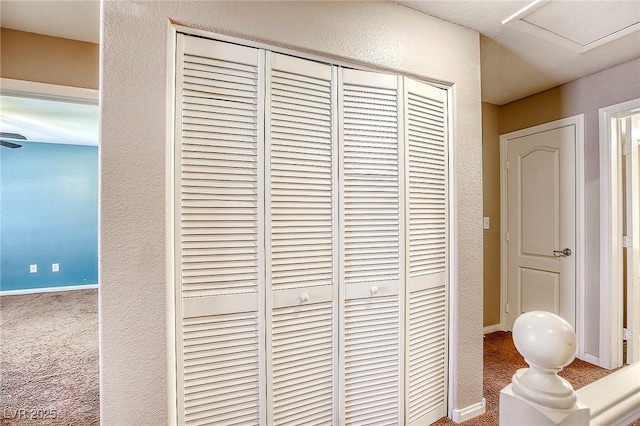 3905 Sweet Pine St Unit 102, Las Vegas, NV 89108 - detailed view of carpet floors and baseboards