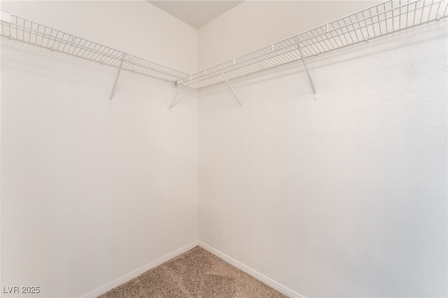7553 Virginia Dale St, Las Vegas, NV 89131 - spacious closet with carpet floors