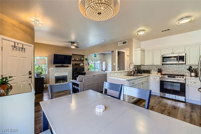 251 S Green Valley Pkwy Unit 3222, Henderson, NV 89012 - kitchen with stainless steel appliances, healthy amount of natural light, a glass covered fireplace, and white cabinets