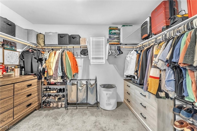 12280 Golden Wreath Rd Unit 3, Las Vegas, NV 89183 - walk in closet with light carpet