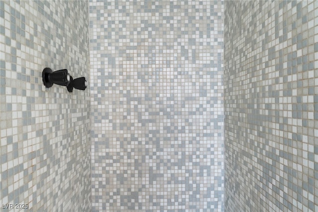 3320 Osage Ave, Las Vegas, NV 89101 - bathroom view of a tile shower