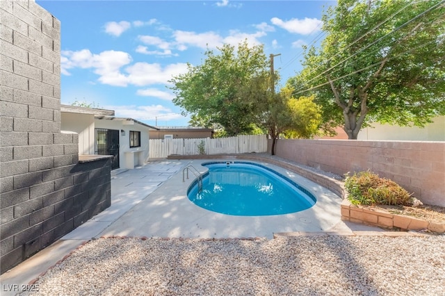 3320 Osage Ave, Las Vegas, NV 89101 - view of swimming pool with a patio and a fenced backyard