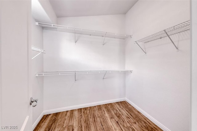2766 Red Vista Ct, Henderson, NV 89074 - walk in closet featuring wood finished floors