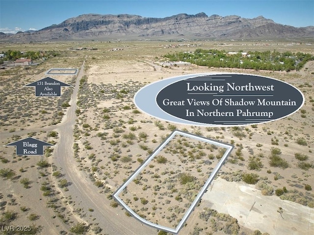 80 W Brandon Ln, Pahrump, NV 89060