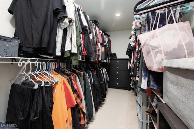 5620 Siena Rose St, North Las Vegas, NV 89031 - spacious closet featuring carpet floors