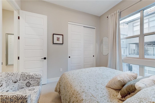 659 Spotted Falcon St, Las Vegas, NV 89138 - bedroom with light colored carpet and a closet