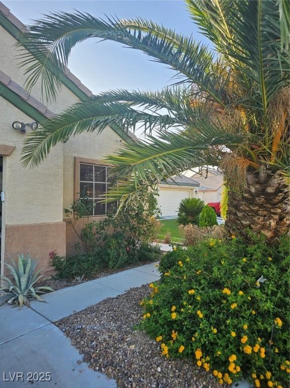 5717 Blizzard Breeze St, North Las Vegas, NV 89081 - view of yard