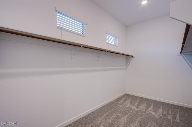 909 Allister Fields Ln, Las Vegas, NV 89138 - walk in closet featuring carpet floors