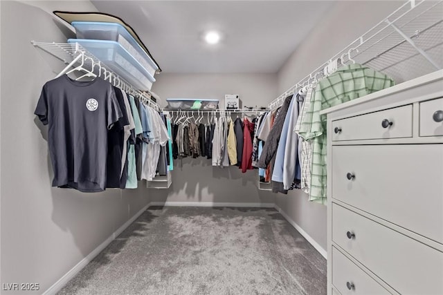 6909 Toll Mountain St, North Las Vegas, NV 89086 - walk in closet with carpet flooring
