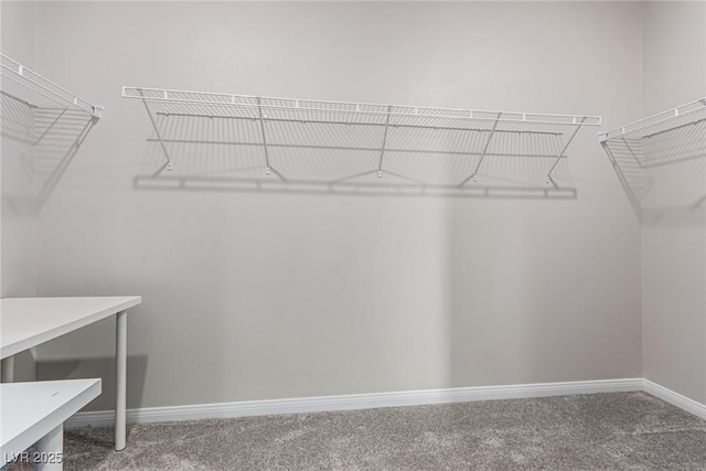 6909 Toll Mountain St, North Las Vegas, NV 89086 - walk in closet featuring carpet floors