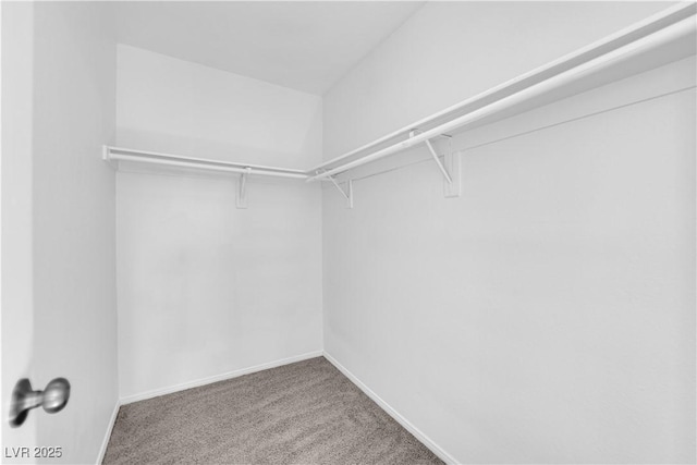 6412 Point Break St, North Las Vegas, NV 89084 - photo 25