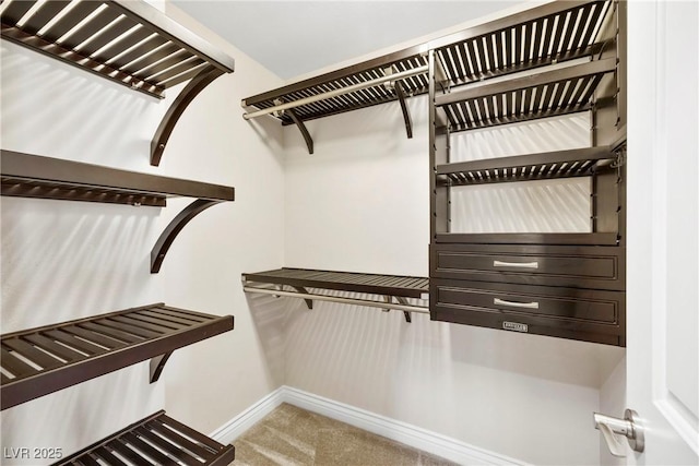 2385 Via Firenze, Henderson, NV 89044 - walk in closet with carpet