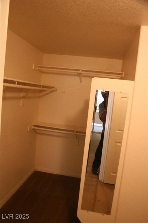 830 Carnegie St Unit 1011, Henderson, NV 89052 - view of walk in closet