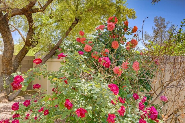 5240 Adorato Dr, North Las Vegas, NV 89031 - photo 23
