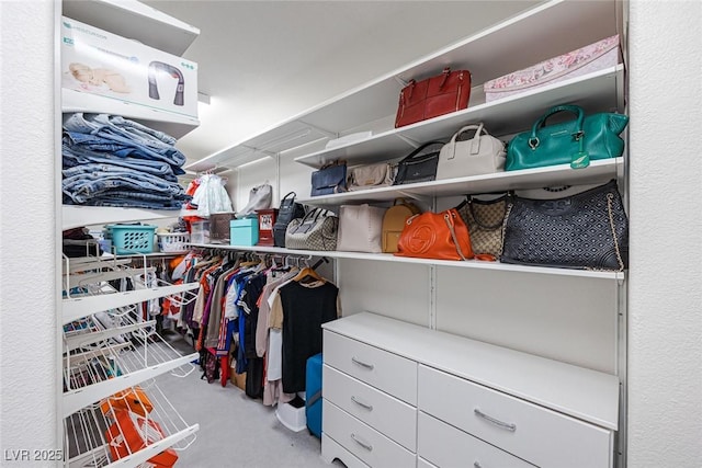 7890 S Miller Ln, Las Vegas, NV 89113 - walk in closet with carpet flooring