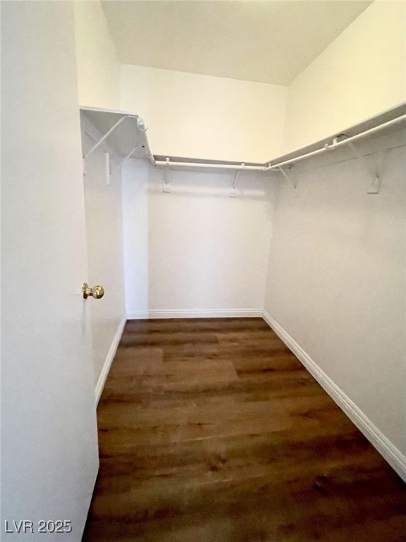 2405 Prime Advantage Ave, North Las Vegas, NV 89032 - walk in closet featuring wood finished floors