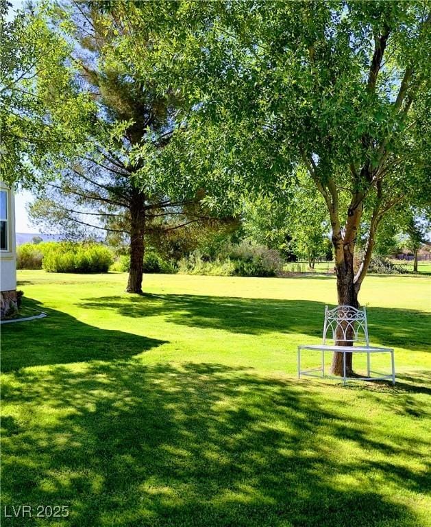 1470 St Joseph St, Overton, NV 89040 - view of green lawn