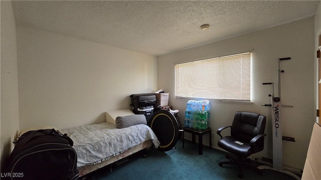 5209 Del Monte Ave, Las Vegas, NV 89146 - carpeted bedroom featuring a textured ceiling