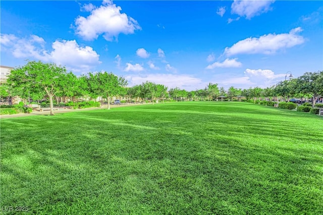 2714 Frabiele St, Henderson, NV 89044 - view of green lawn