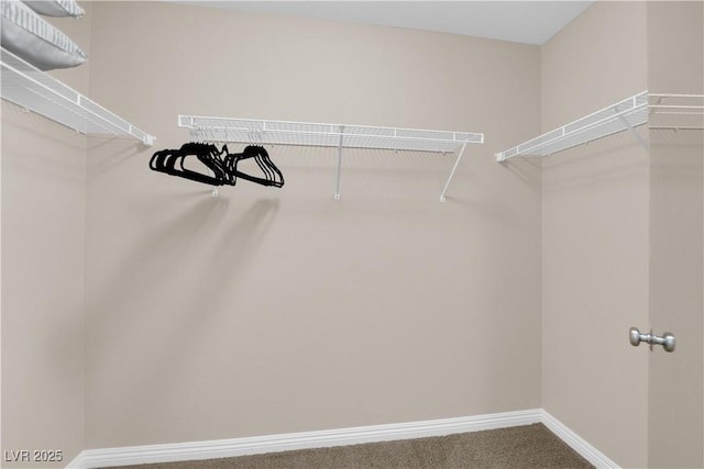 2714 Frabiele St, Henderson, NV 89044 - walk in closet with carpet flooring