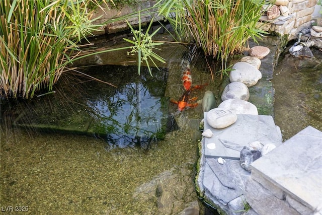 712 Proud Eagle Ln, Las Vegas, NV 89144 - exterior view of a garden pond