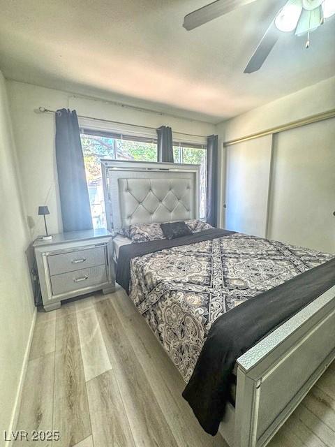 3101 Casey Dr Unit 204, Las Vegas, NV 89120 - bedroom with light wood finished floors, multiple windows, ceiling fan, and a closet