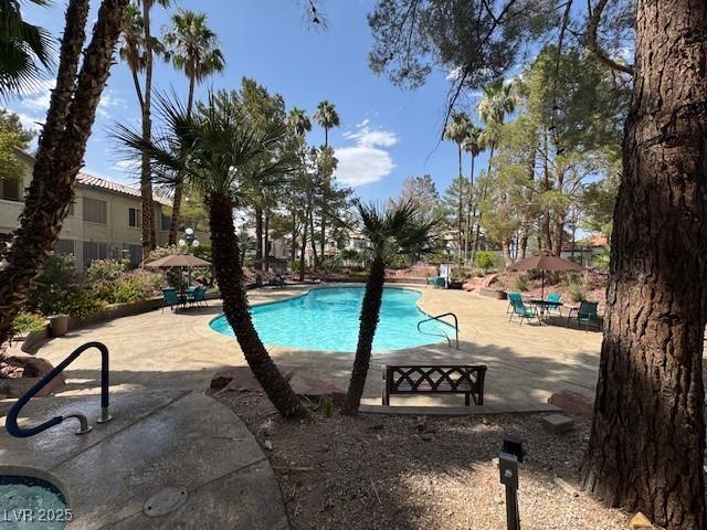 3101 Casey Dr Unit 204, Las Vegas, NV 89120 - community pool featuring a patio