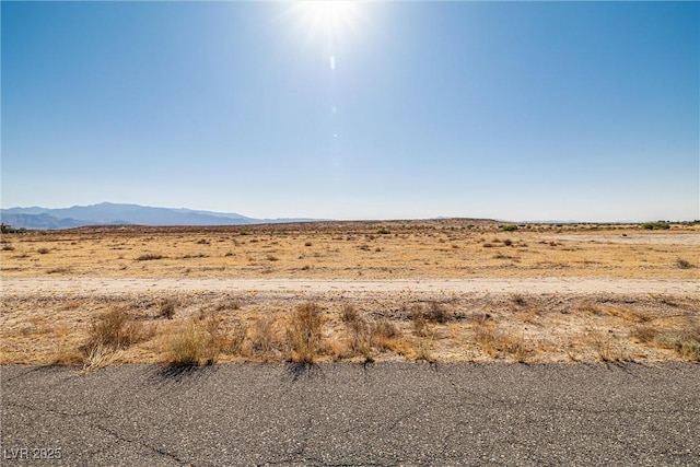 2021 E Ricky Rd, Pahrump, NV 89048 - photo 2