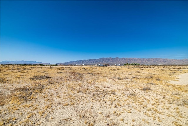 2021 E Ricky Rd, Pahrump, NV 89048 - photo 8