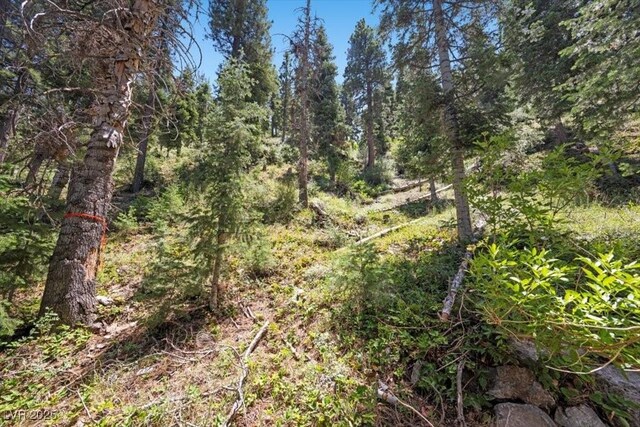4581 Aspen Ave, Mount Charleston, NV 89124 - view of tree filled area