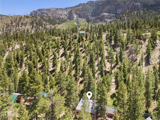 4581 Aspen Ave, Mount Charleston, NV 89124 - view of mountain background with a heavily wooded area
