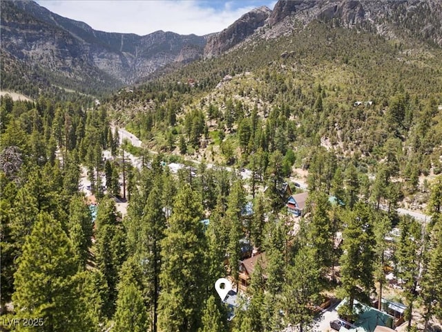 4581 Aspen Ave, Mount Charleston, NV 89124 - view of mountain backdrop featuring a forest