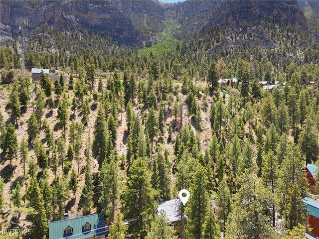 4581 Aspen Ave, Mount Charleston, NV 89124 - aerial view of property and surrounding area featuring a forest and a mountainous background