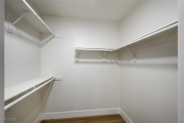 2725 S Nellis Blvd Unit 2036, Las Vegas, NV 89121 - walk in closet with wood finished floors