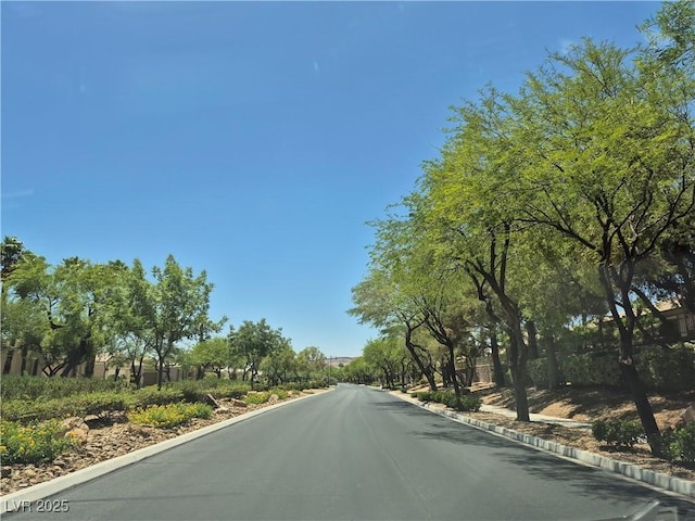 4814 Regalo Bello St, Las Vegas, NV 89135 - photo 30