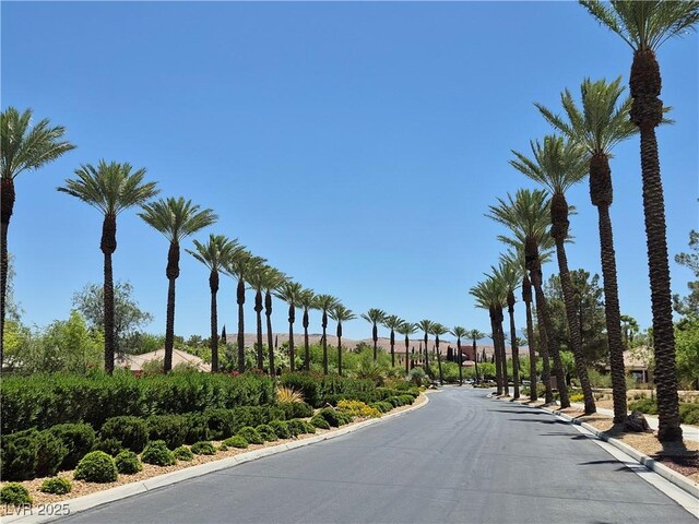 4814 Regalo Bello St, Las Vegas, NV 89135 - photo 20