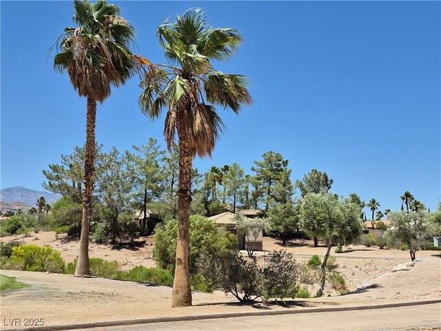 4814 Regalo Bello St, Las Vegas, NV 89135 - photo 25