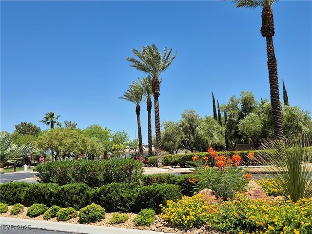 4814 Regalo Bello St, Las Vegas, NV 89135 - photo 21