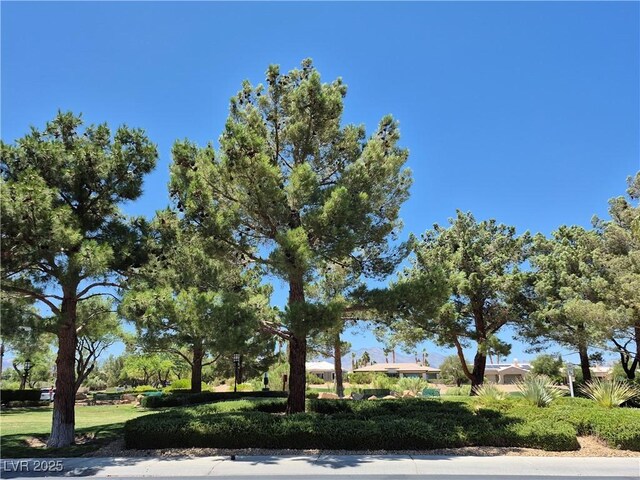 4814 Regalo Bello St, Las Vegas, NV 89135 - photo 28