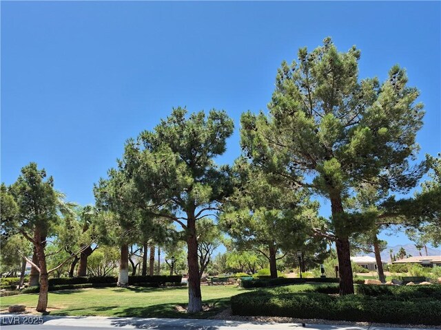 4814 Regalo Bello St, Las Vegas, NV 89135 - photo 29